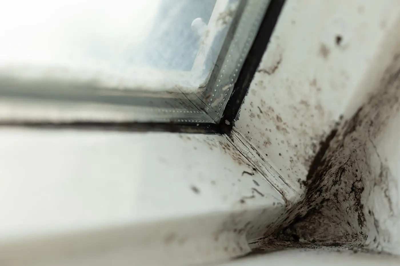 Schimmelbefall an einem Fensterrahmen